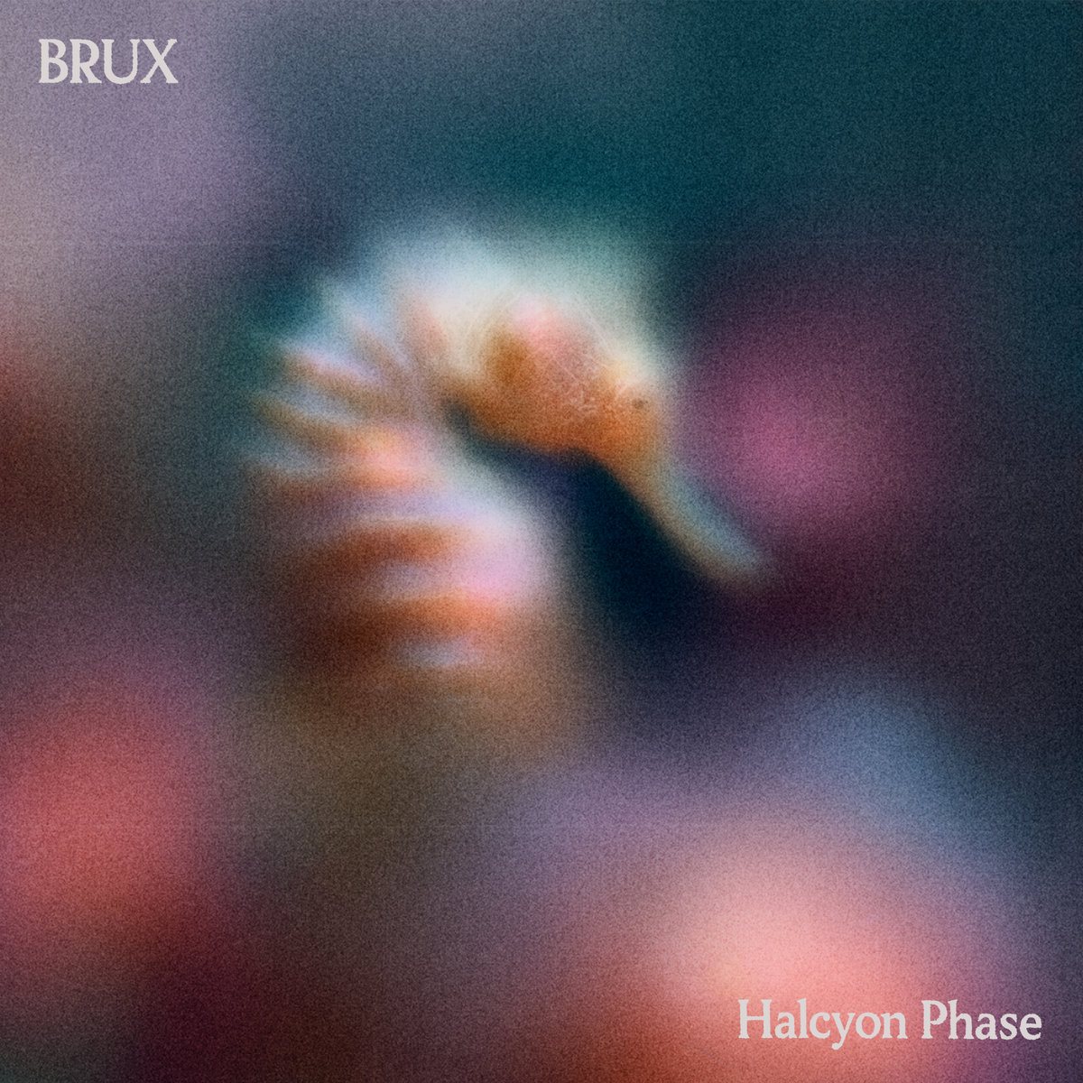 BRUX — Halcyon Phase LP