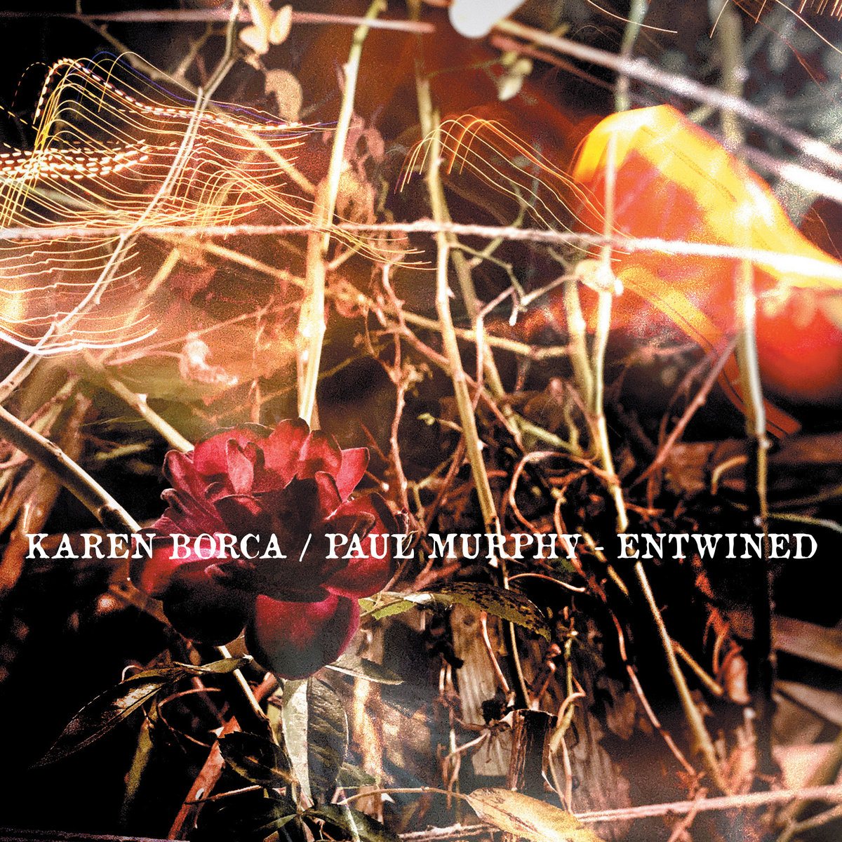 Karen Borca — Entwined