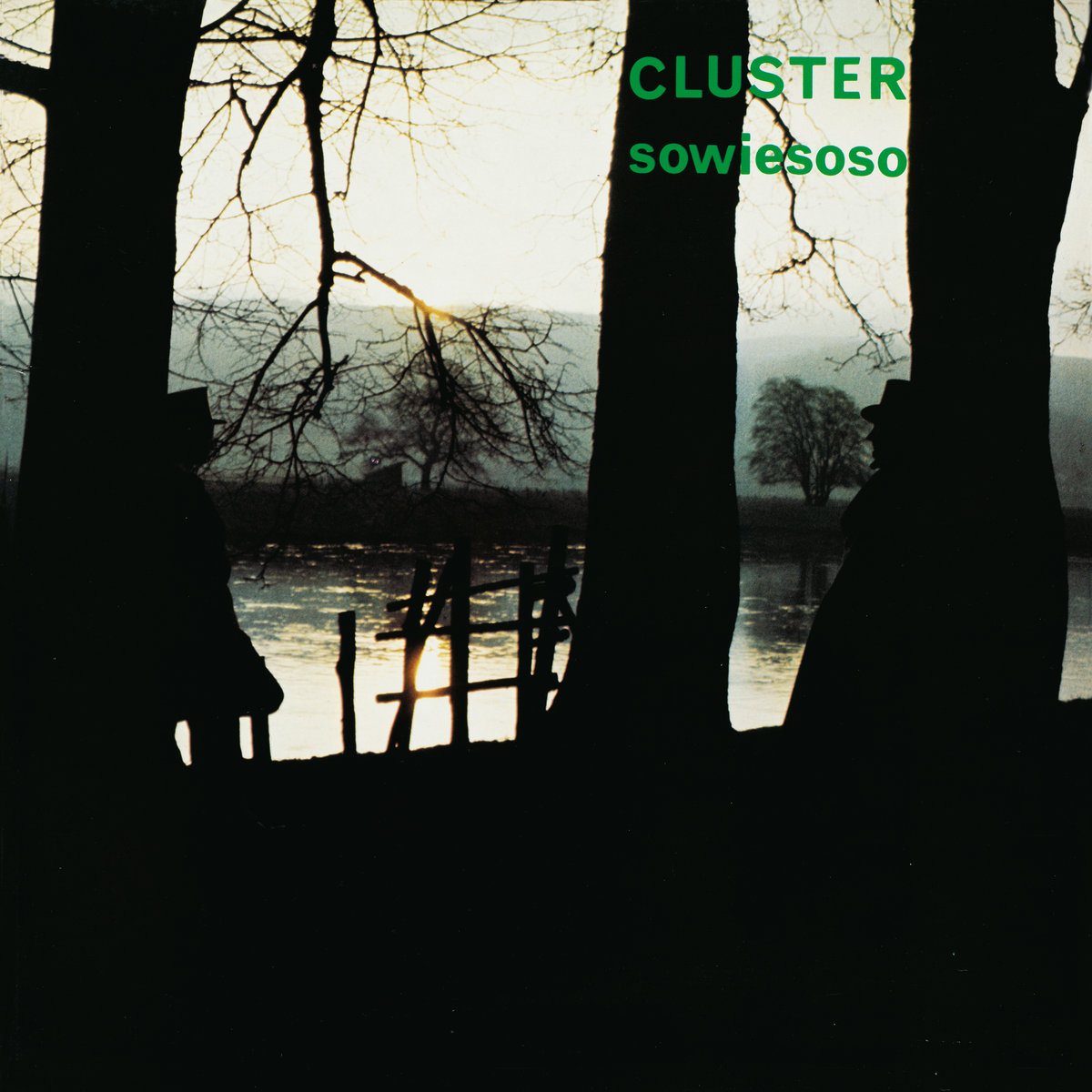 Cluster — Sowiesoso